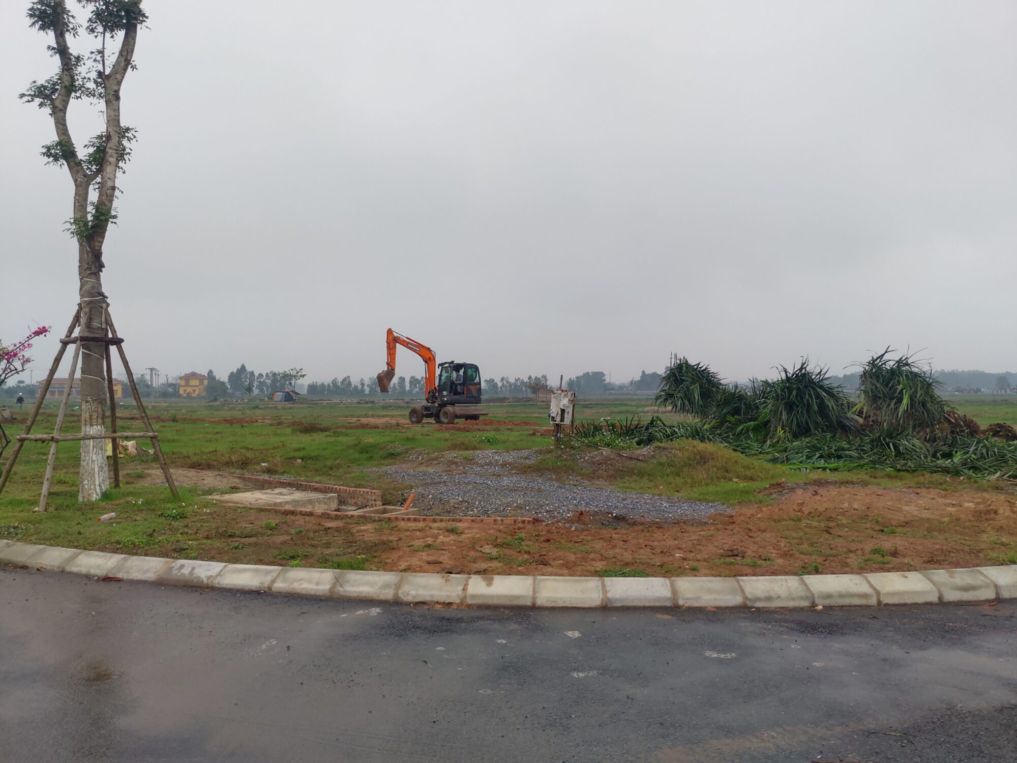 z2359283909893 6db12b26cf87c1d77eeb23e045187a6e