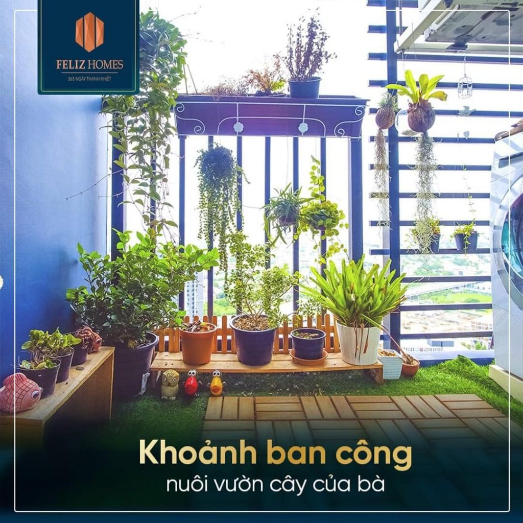 thien nhien hien huu cua feliz homes 1