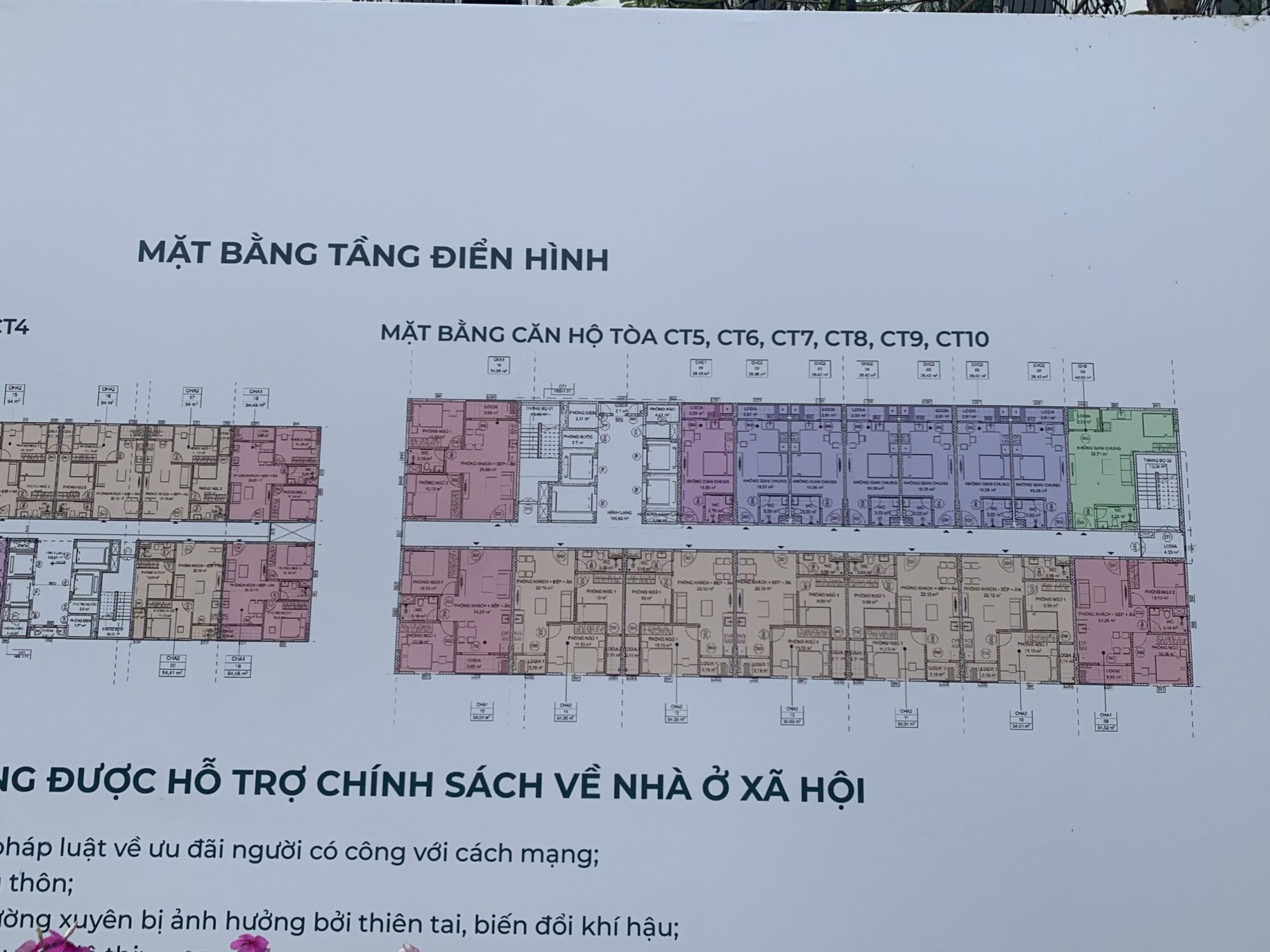 mặt bằng nhà ở xã hội evergreen tràng duệ